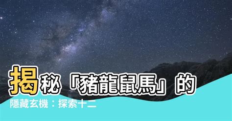 豬龍鼠馬的意思|生肖纪年